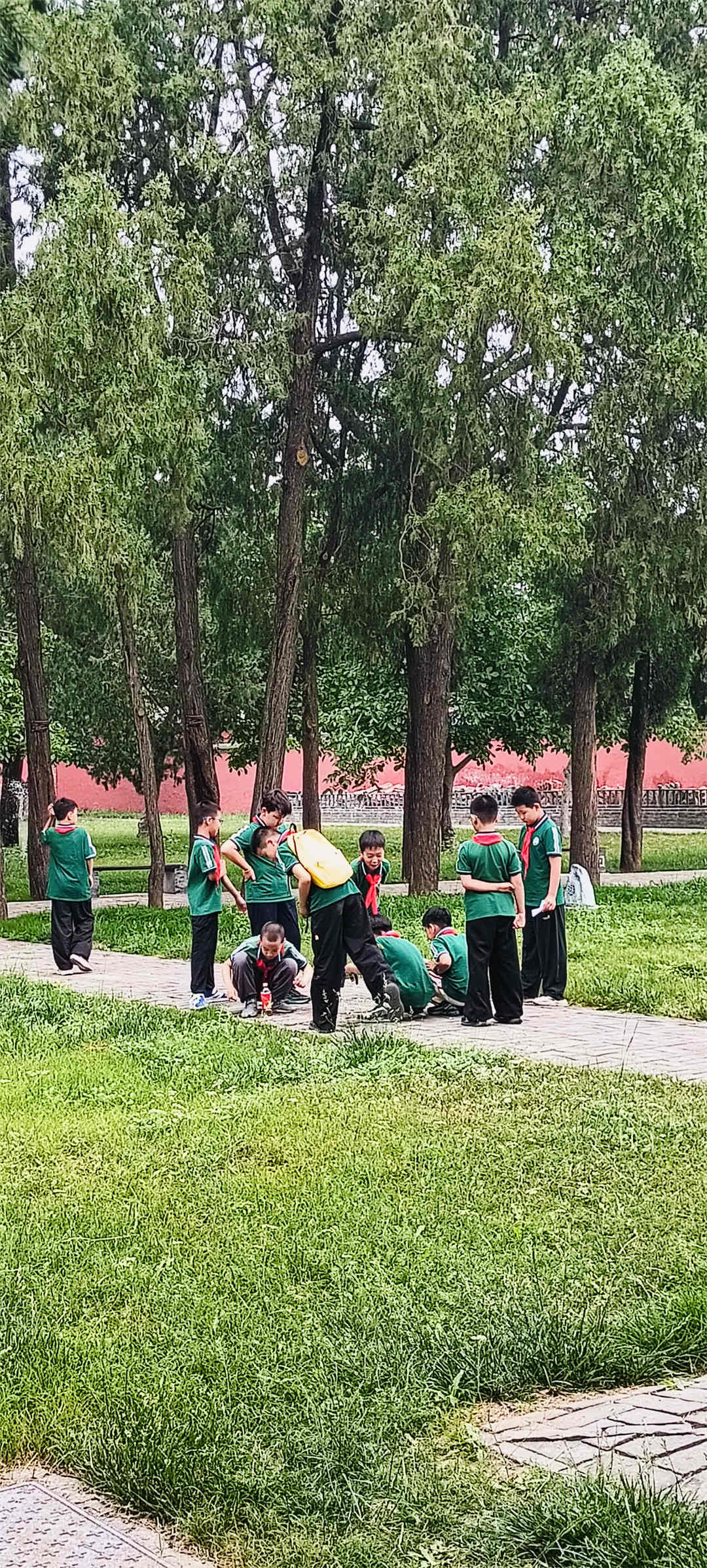 石家庄市盛世长安小学12.jpg
